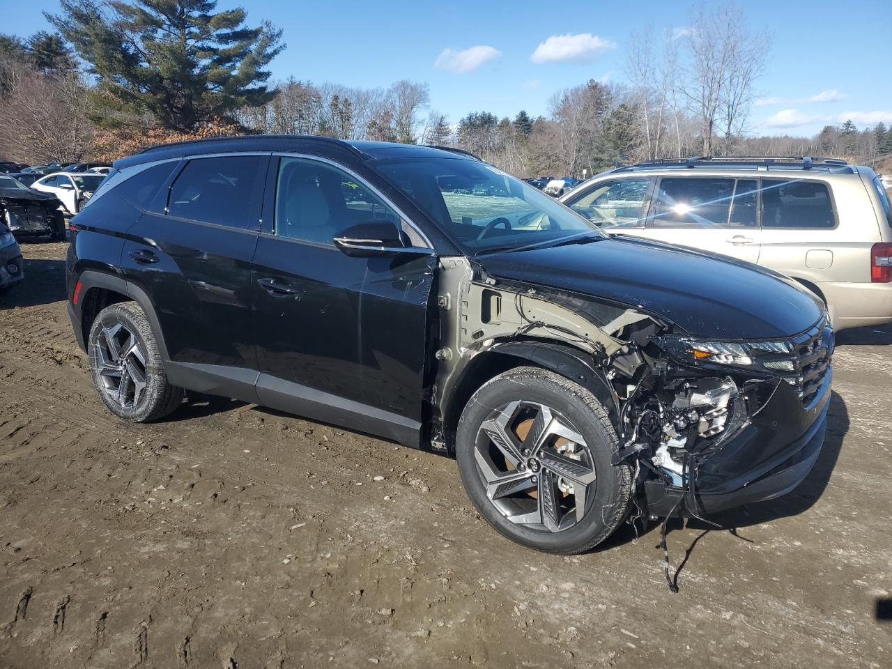 2024 HYUNDAI TUCSON LIMITED VIN:5NMJECDE0RH434509