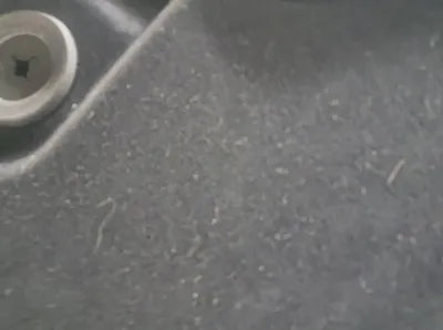 2019 Genesis G90 VIN: