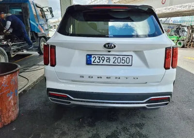 2021 Kia Sorento KNARF81BGMA031561 VIN:KNARF81BGMA031561