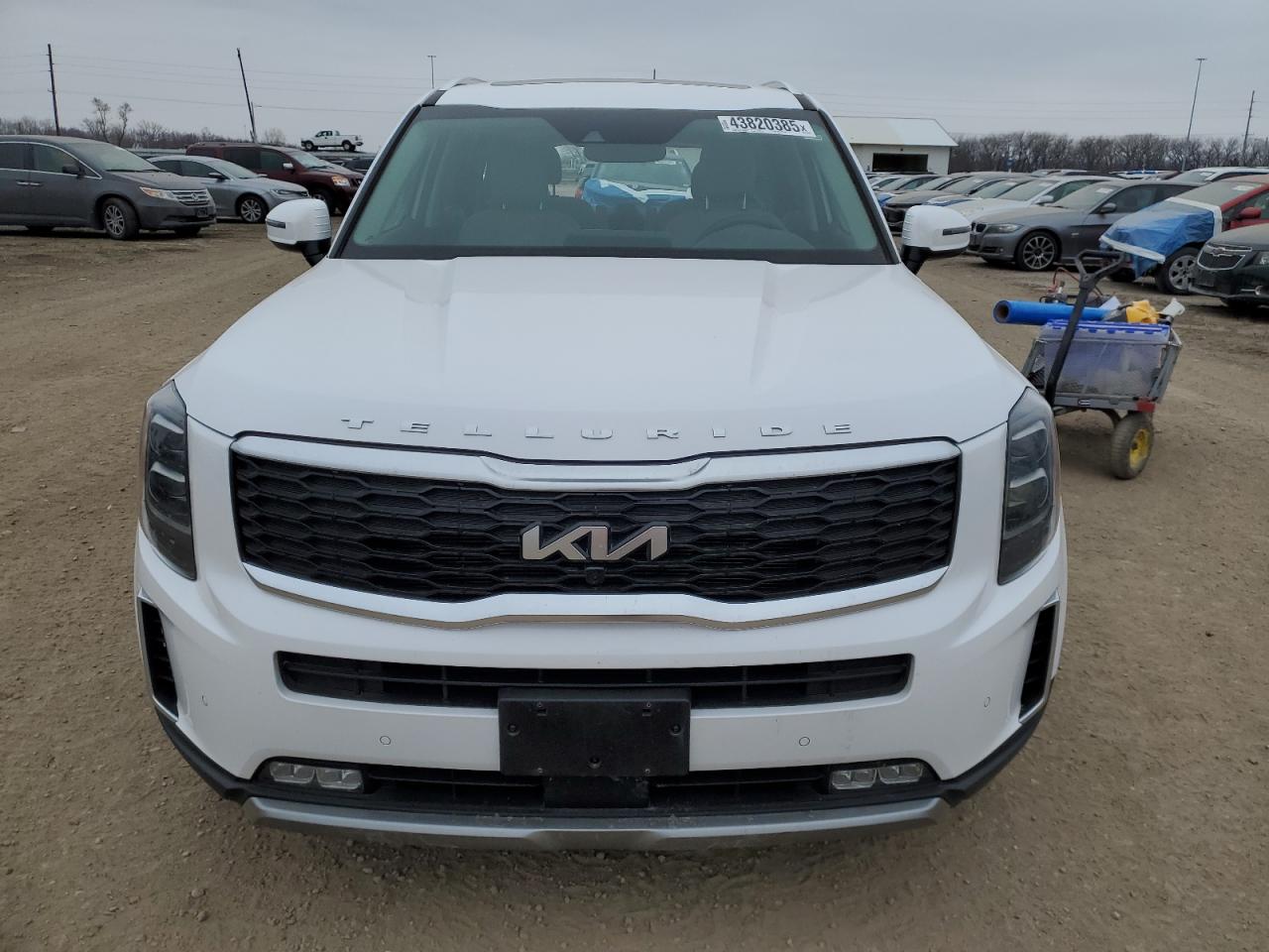 2022 KIA TELLURIDE SX VIN:5XYP5DHC0NG263225