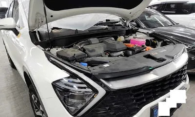 2022 Kia Sportage KNAPX81GBNK002052 VIN:KNAPX81GBNK002052