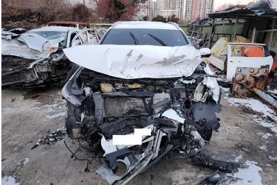 2019 Hyundai Santa FE KMHS281BDKU113892 VIN:KMHS281BDKU113892