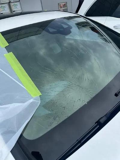 2020 Mercedes-Benz E 300 W1KZF4KBXLA800823 VIN:W1KZF4KBXLA800823