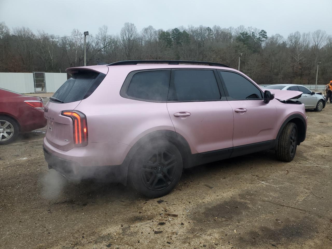 2024 KIA TELLURIDE SX VIN:5XYP5DGC9RG523452