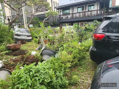 2020 BMW 740 WBA7T410XLCE40015 VIN:WBA7T410XLCE40015