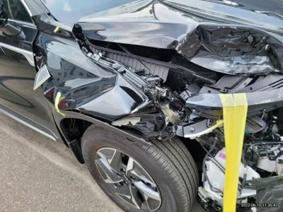 2022 Kia Sorento KNARL81GBNA105043 VIN:KNARL81GBNA105043