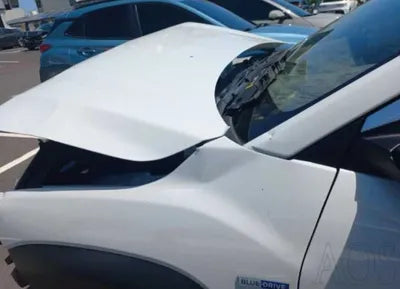 2019 Hyundai Kona KMHK281GFKU015959 VIN:KMHK281GFKU015959