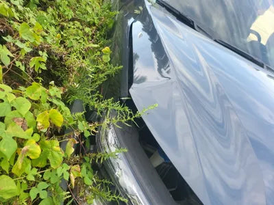 2019 Hyundai Kona VIN: