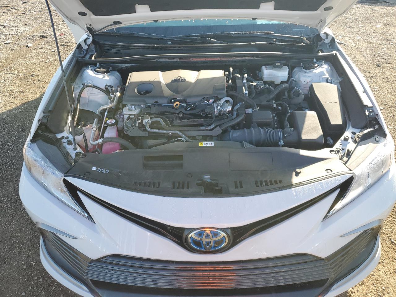 2023 TOYOTA CAMRY LE VIN:4T1C31AK7PU056185