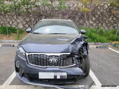 2017 Kia Sorento KNAPS81BDJA401334 VIN:KNAPS81BDJA401334