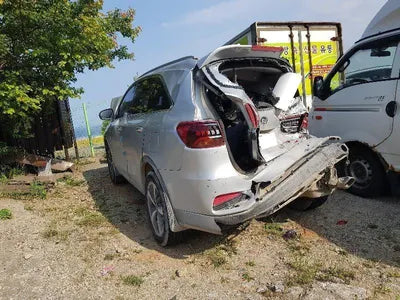 2019 Kia Sorento KNAPG81BDLA597519 VIN:KNAPG81BDLA597519