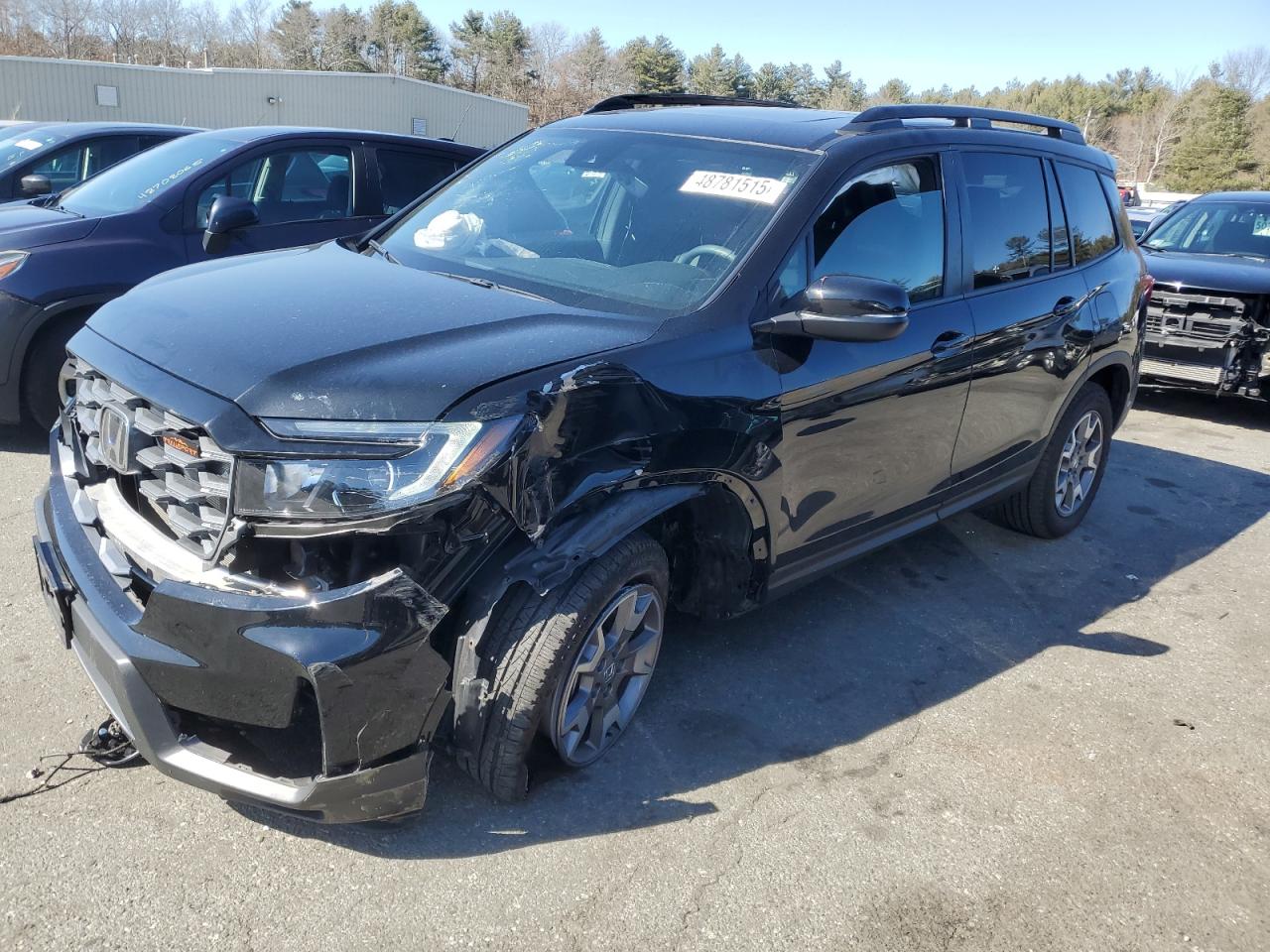 2023 HONDA PASSPORT TRAIL SPORT VIN:5FNYF8H65PB018465