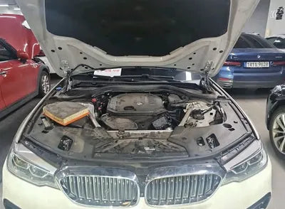 2020 BMW 520 WBAJF3103LCE49968 VIN:WBAJF3103LCE49968