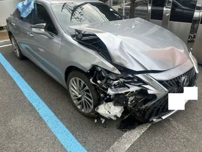 2022 Lexus ES 300 JTHBA1C14N2007480 VIN:JTHBA1C14N2007480