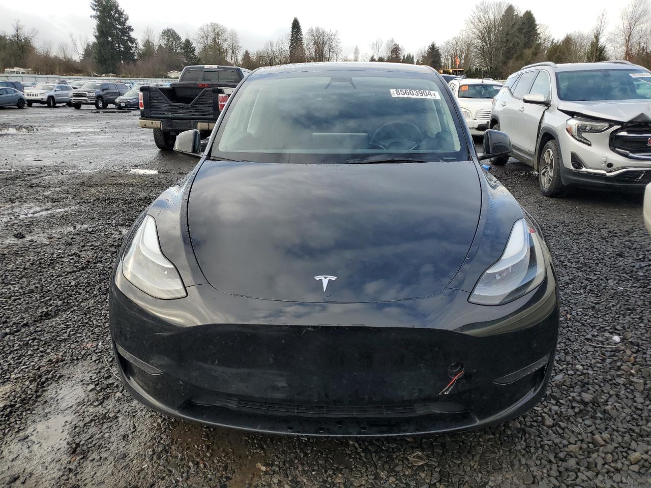 2022 TESLA MODEL Y  VIN:7SAYGDEF0NF461570