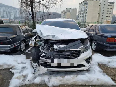 2019 Kia Carnival VIN: