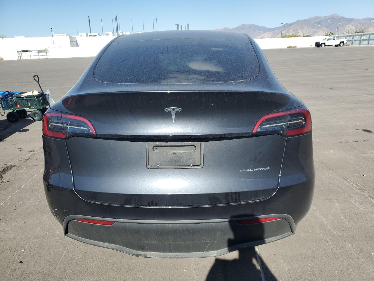 2024 TESLA MODEL Y  VIN:7SAYGDEE1RA241977