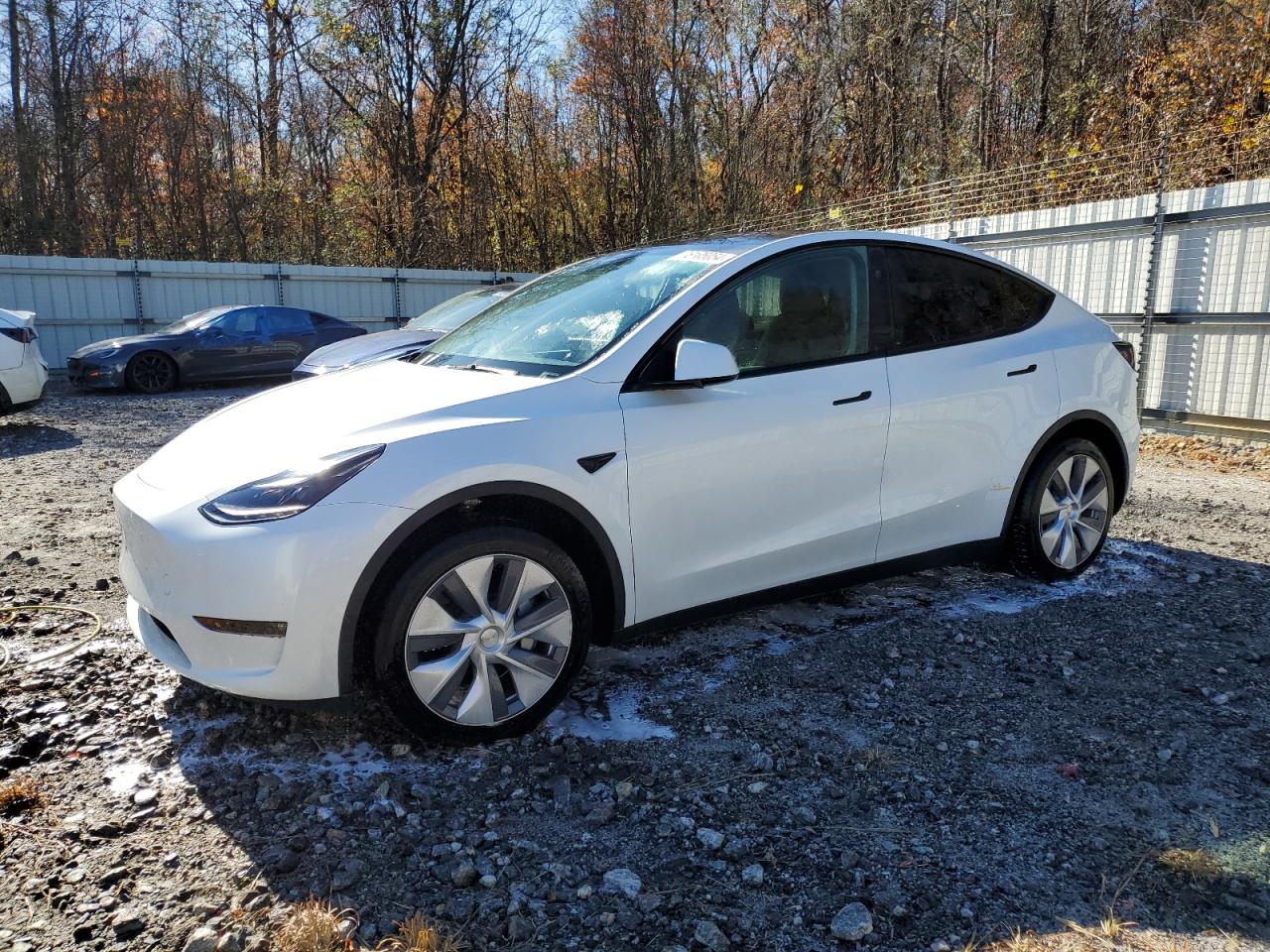 2024 TESLA MODEL Y  VIN:7SAYGAEE7RF091388