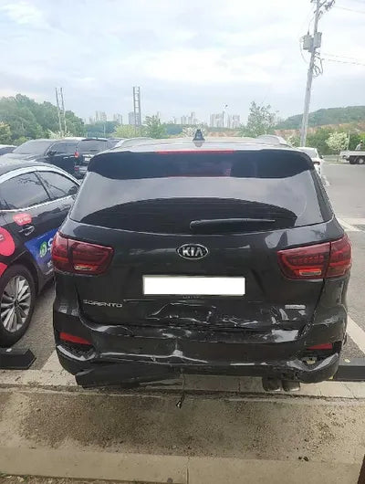 2019 Kia Sorento KNAPS81BBKA508210 VIN:KNAPS81BBKA508210