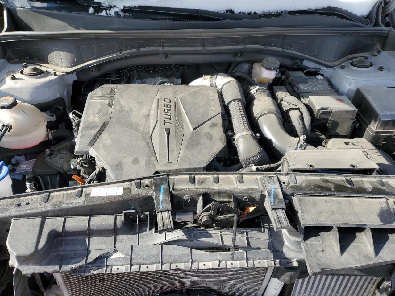 2023 KIA SORENTO SX VIN:5XYRKDLFXPG252920