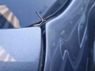 2021 Mercedes-Benz E 450 W1KZF5KB4MA916431 VIN:W1KZF5KB4MA916431