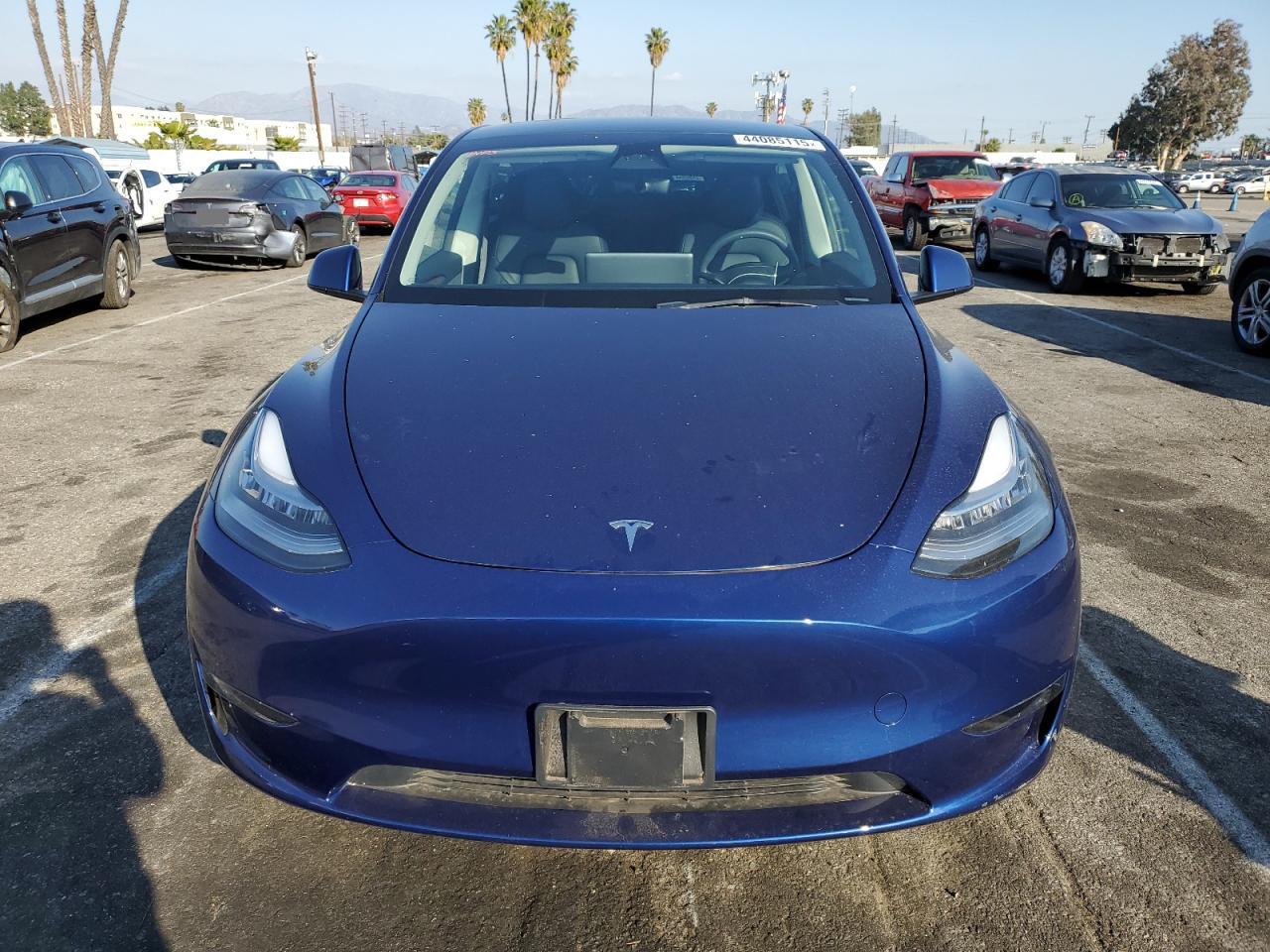 2023 TESLA MODEL Y  VIN:7SAYGDEE7PA095307