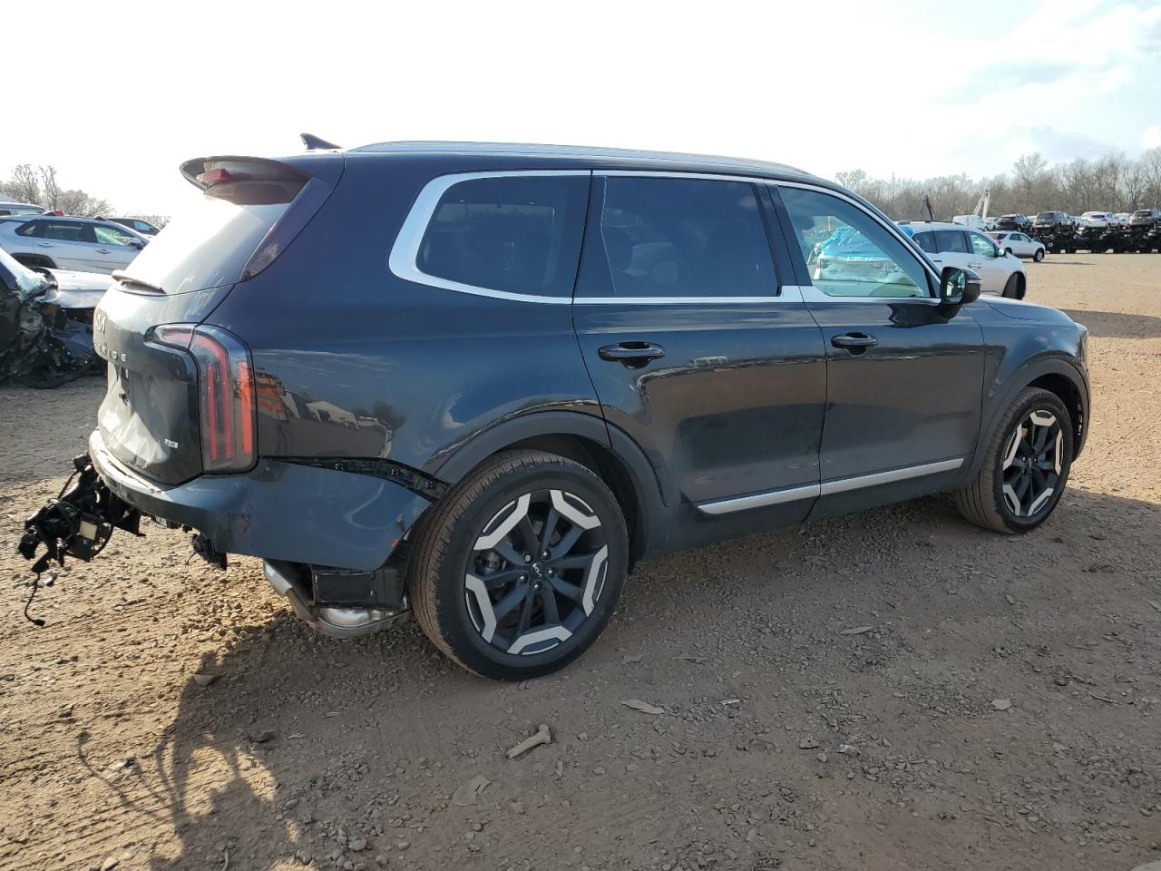 2024 KIA TELLURIDE EX VIN:5XYP3DGC2RG426177