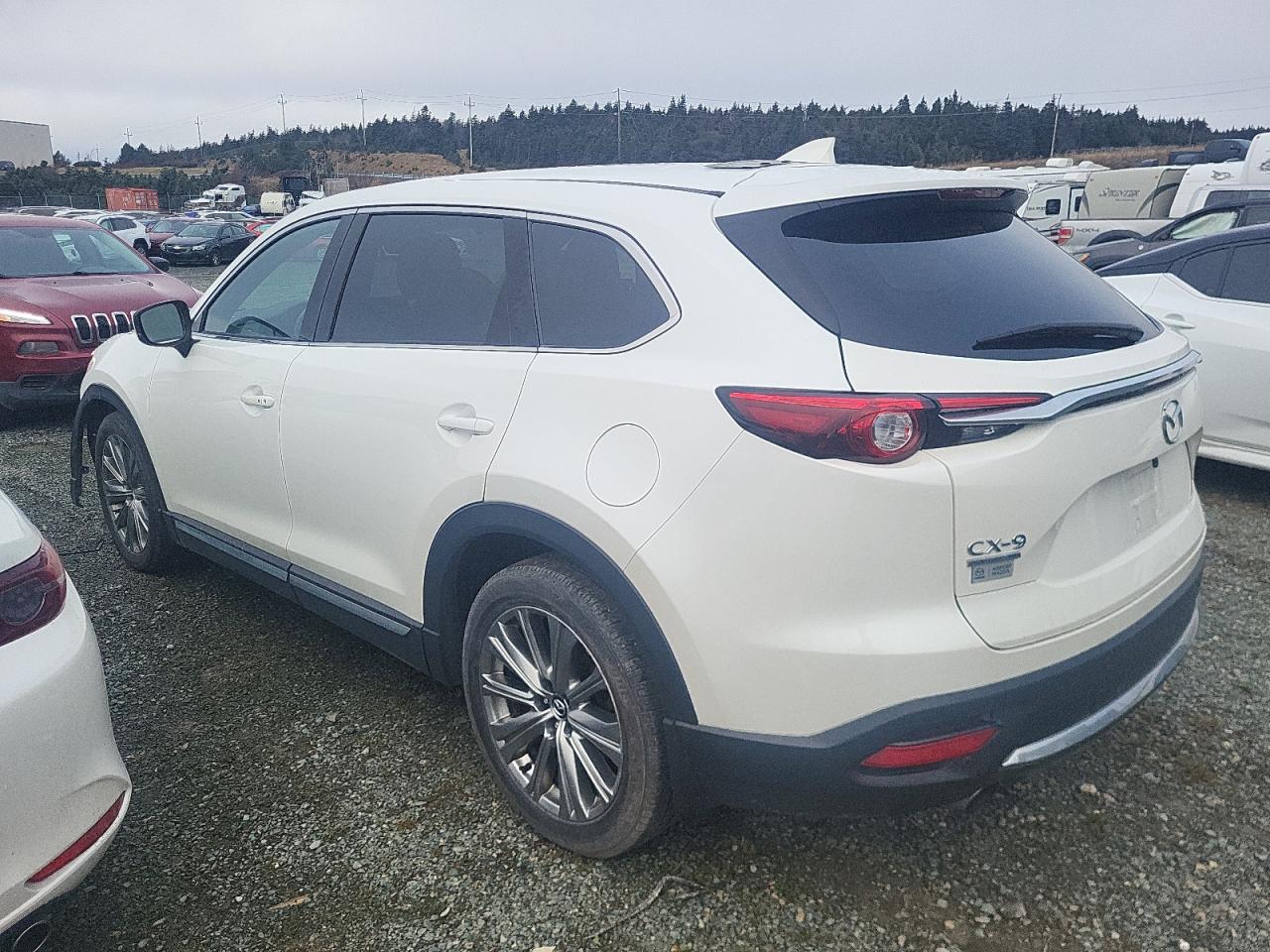 2022 MAZDA CX-9 SIGNATURE VIN:JM3TCBEY7N0616498