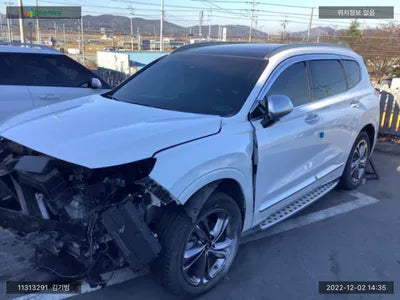 2019 Hyundai Santa FE KMHS581BBLU196955 VIN:KMHS581BBLU196955