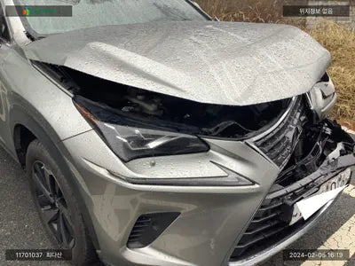 2019 Lexus NX 300 JTJBJRBZ0K2124361 VIN:JTJBJRBZ0K2124361