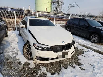 2019 BMW 520 WBAJK7108KGL29042 VIN:WBAJK7108KGL29042