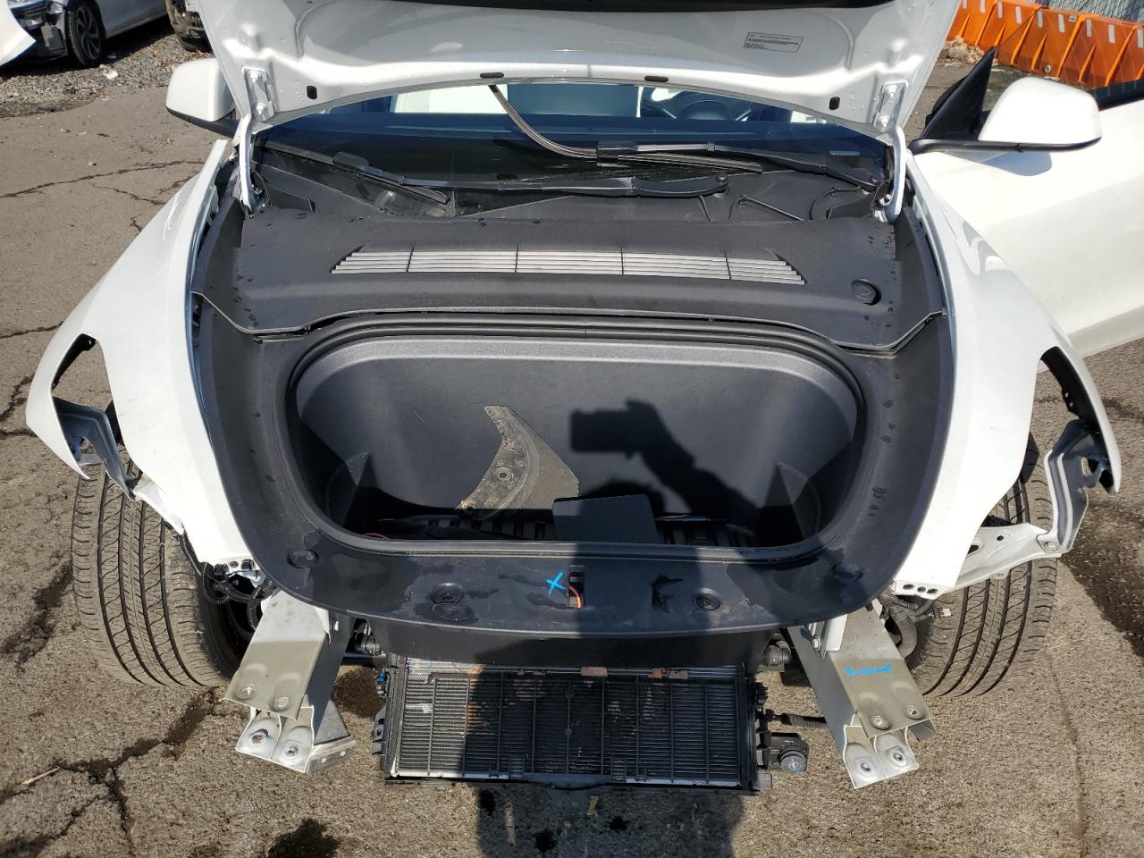 2023 TESLA MODEL Y  VIN:7SAYGDEE5PF831826