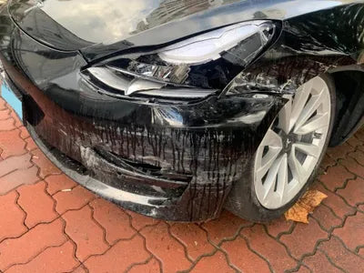 2022 Tesla Model 3 5YJ3E1EA7NF313738 VIN:5YJ3E1EA7NF313738