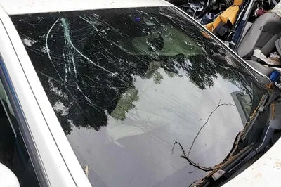 2015 Mercedes-Benz E 220 WDDHF0AB0GB239148 VIN:WDDHF0AB0GB239148