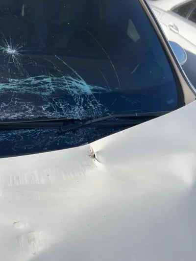 2019 Mercedes-Benz A 220 VIN: