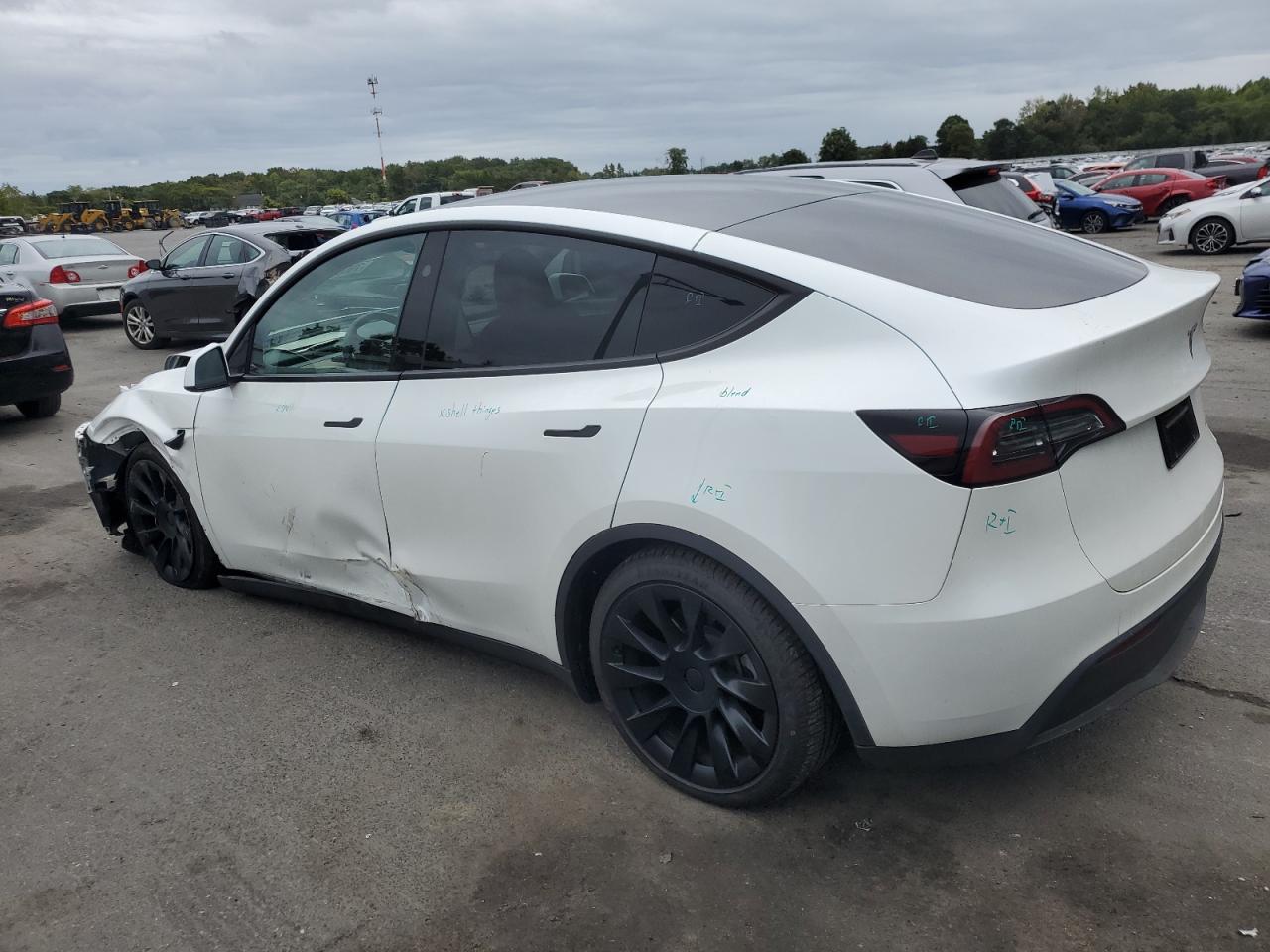 2023 TESLA MODEL Y  VIN:7SAYGDEE1PF839759