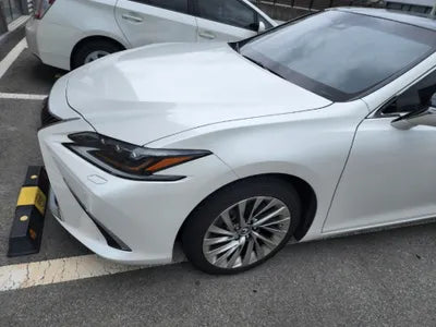 2019 Lexus ES 300 VIN:
