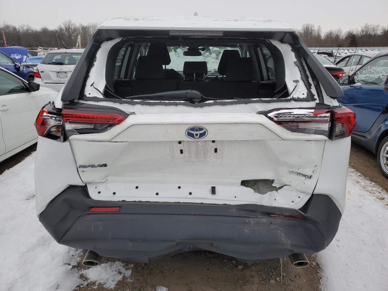2023 TOYOTA RAV4 XLE VIN:2T3RWRFV2PW183436