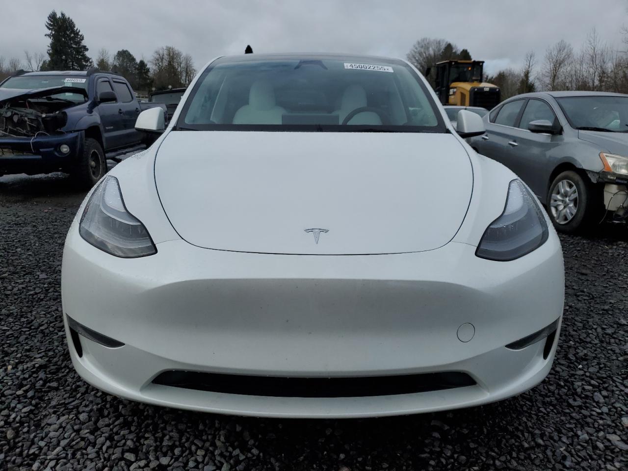 2024 TESLA MODEL Y  VIN:7SAYGDEE5RF115706