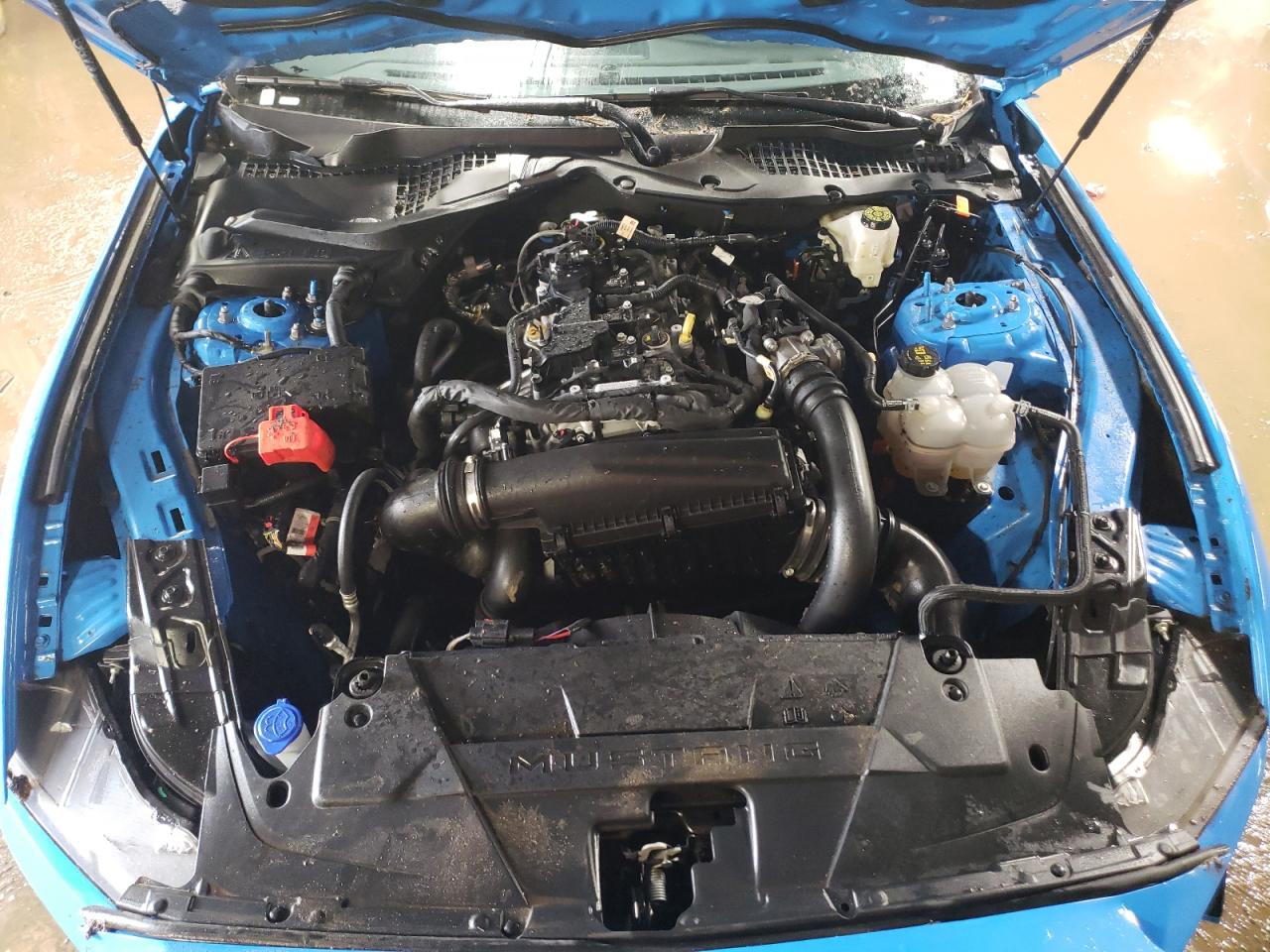 2024 FORD MUSTANG  VIN:1FA6P8TH7R5132989