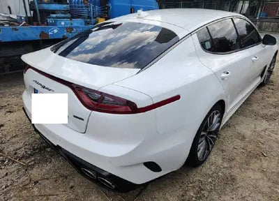 2019 Kia Stinger KNAE651BDKS045522 VIN:KNAE651BDKS045522