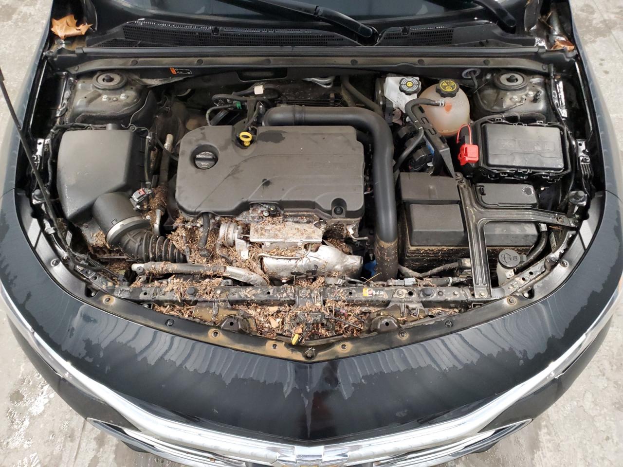 2023 CHEVROLET MALIBU LT VIN:1G1ZD5ST6PF207914