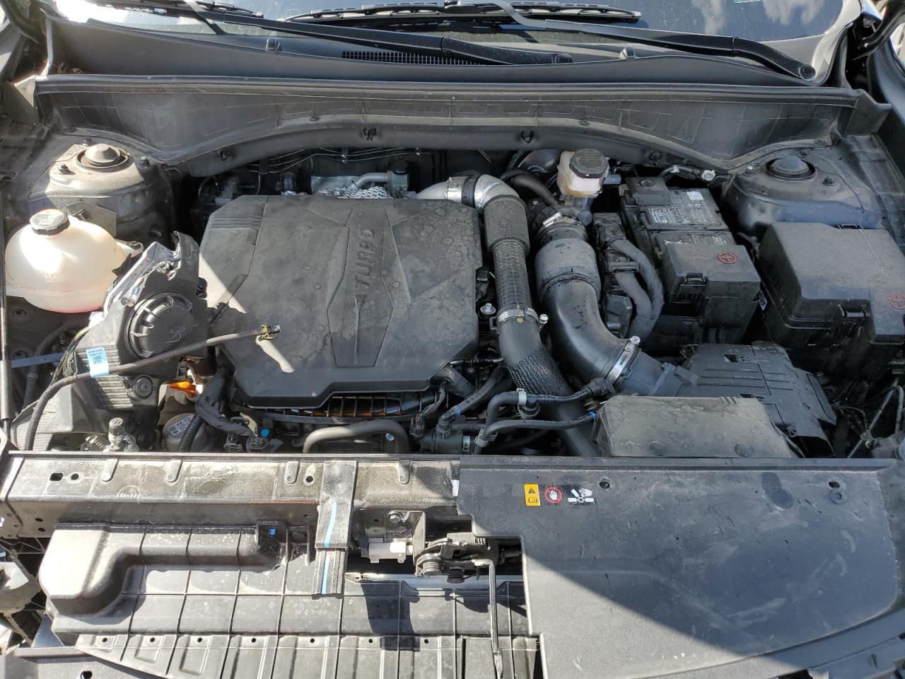 2023 KIA SORENTO SX VIN:5XYRKDLF1PG162314