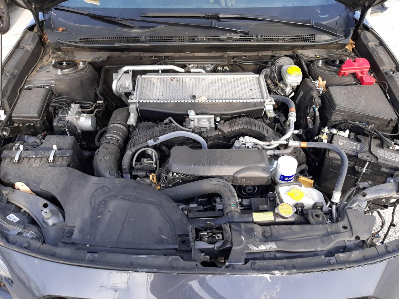 2023 SUBARU OUTBACK WILDERNESS VIN:4S4BTGSD1P3195202