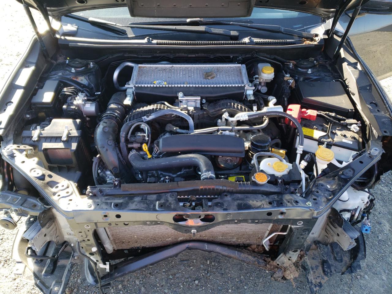 2023 SUBARU WRX PREMIUM VIN:JF1VBAF6XP9822947