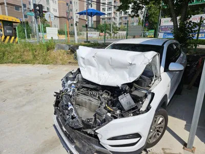 2018 Hyundai Tucson KMHJ2815GJU613631 VIN:KMHJ2815GJU613631