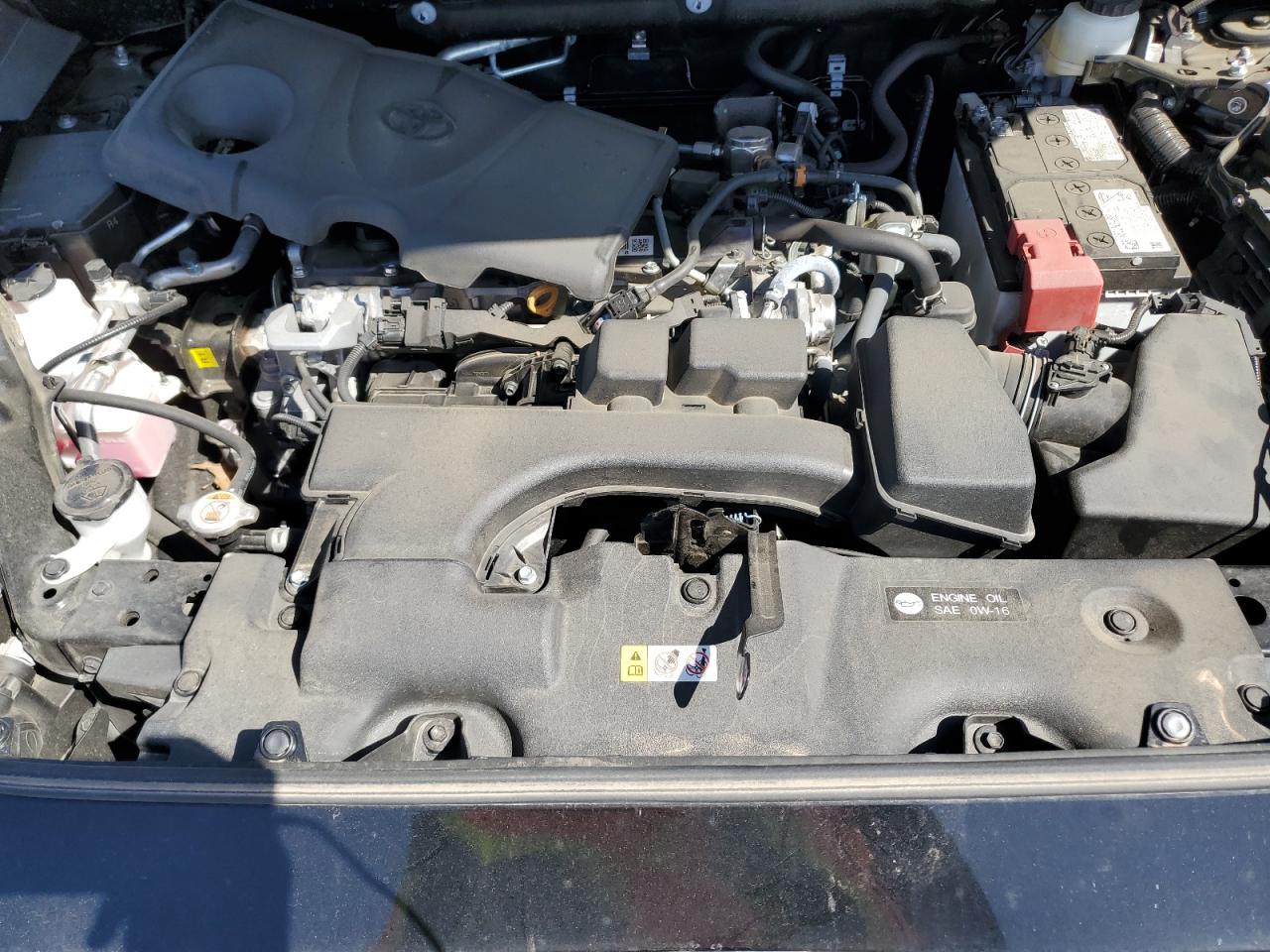2024 TOYOTA RAV4 XLE VIN:2T3P1RFV9RC399858