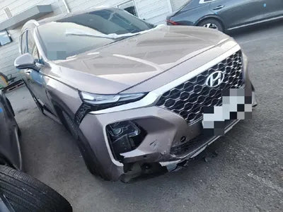 2019 Hyundai Santa FE 2KMHS381CBKU13674 VIN:2KMHS381CBKU13674