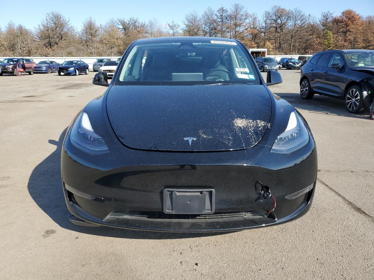 2023 TESLA MODEL Y  VIN:7SAYGAEE0PF608544