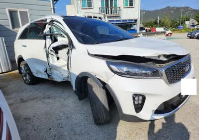 2019 Kia Sorento KNAPS81BBKA528263 VIN:KNAPS81BBKA528263